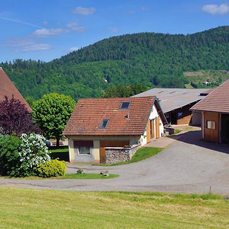 Hébergement François Mathieu Saint-Maurice-sur-Moselle Esterno foto