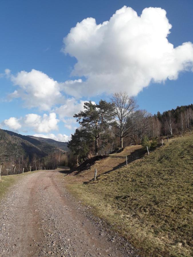 Hébergement François Mathieu Saint-Maurice-sur-Moselle Esterno foto