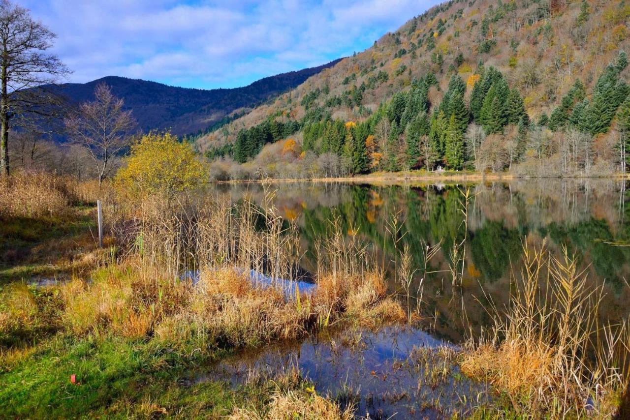 Hébergement François Mathieu Saint-Maurice-sur-Moselle Esterno foto